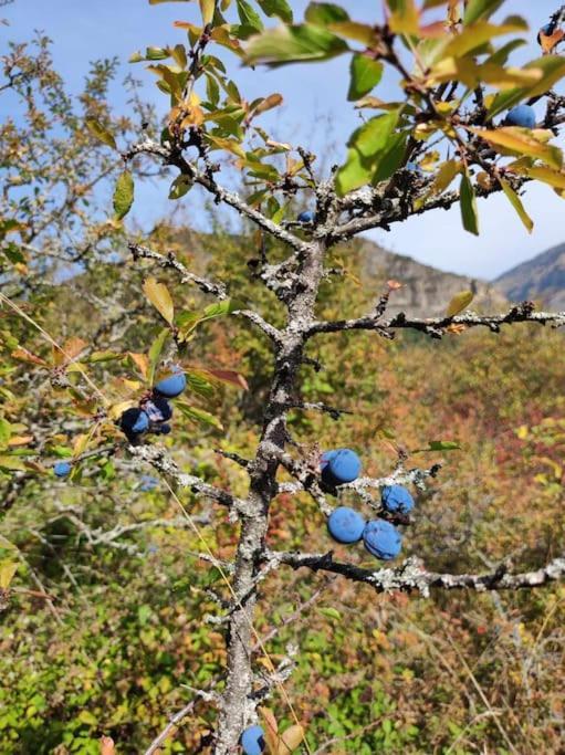 El Refugio De Tena - Tucasaenlospirineos Escarrilla Dış mekan fotoğraf